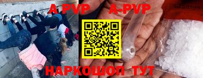 скорость Кингисепп