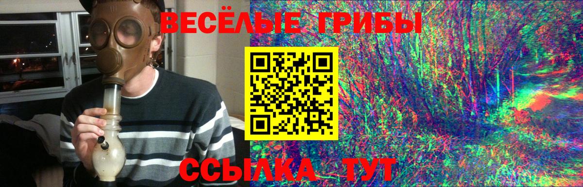 Псилоцибиновые грибы GOLDEN TEACHER Люберцы